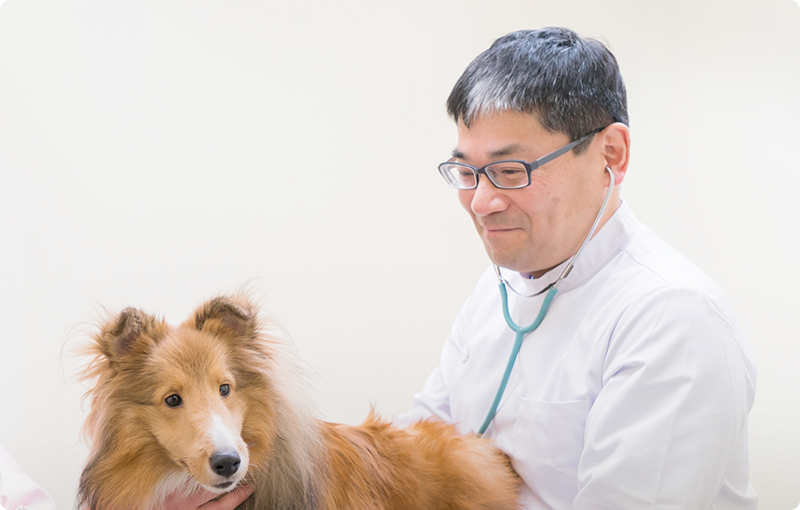 わんちゃん・ねこちゃんが 元気に暮らしてゆけるために