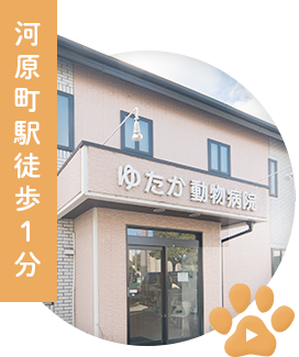 河原町駅徒歩1分