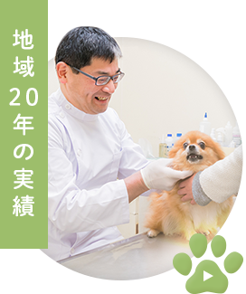 地域20年の実績